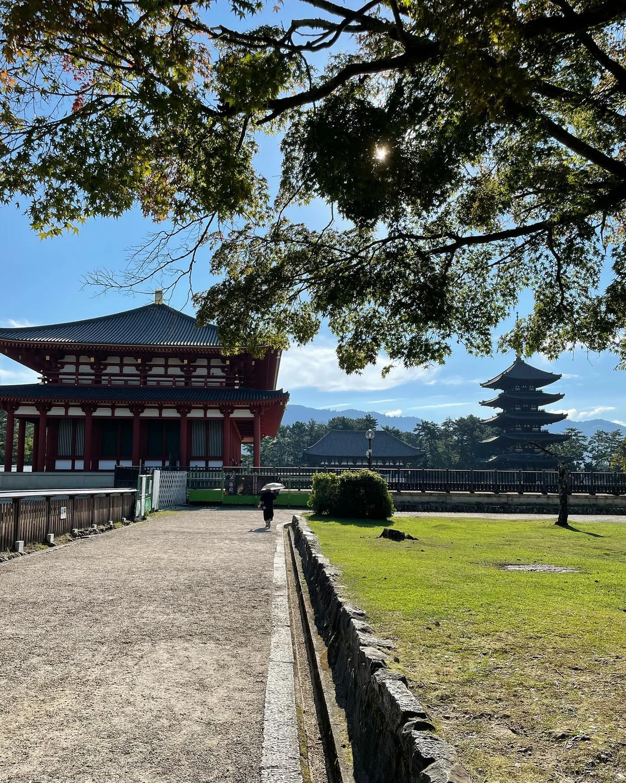 Trees and traditional buildings from my trip to Japan.